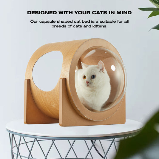 Wooden Cat Bed Capsule, Large Transparent Capsule Indoor Cat House